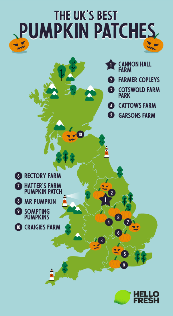 New research reveals UK’s best pumpkin patches for 2024 