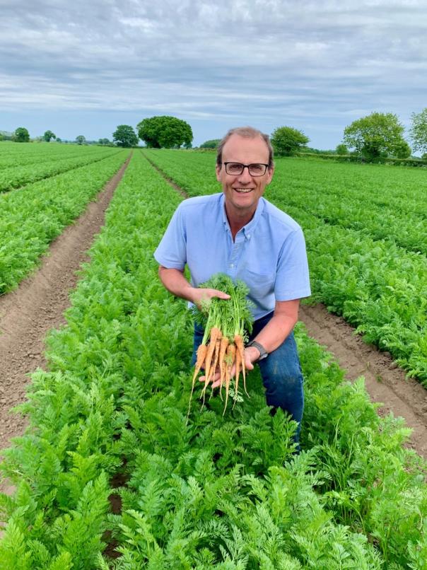 National Carrot Day 