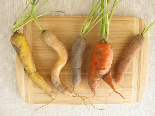 Seasoned supports wonky veg to cut food waste