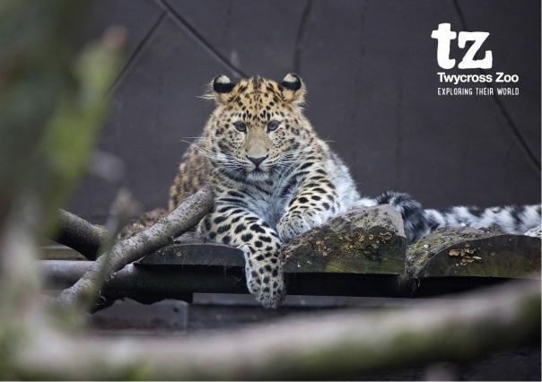 Levy Restaurants opens new look café and restaurant at Twycross Zoo